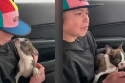 Jongen overvallen door emoties als hij puppy krijgt van overleden vader 