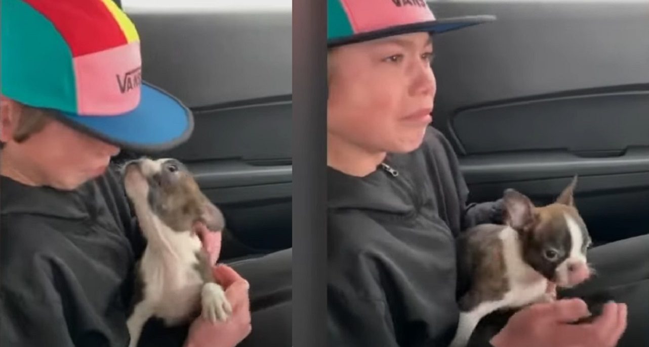 Jongen overvallen door emoties als hij puppy krijgt van overleden vader 