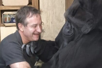 Robin williams maakt koko voor het eerst in zes maanden aan het lachen nadat haar vriendje overleed