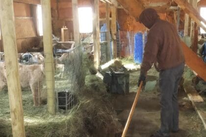 Boer is hard aan het werk in de stal maar zie als zijn favorietje liedje opkomt