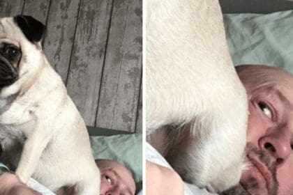 Kennen geen persoonlijke ruimte