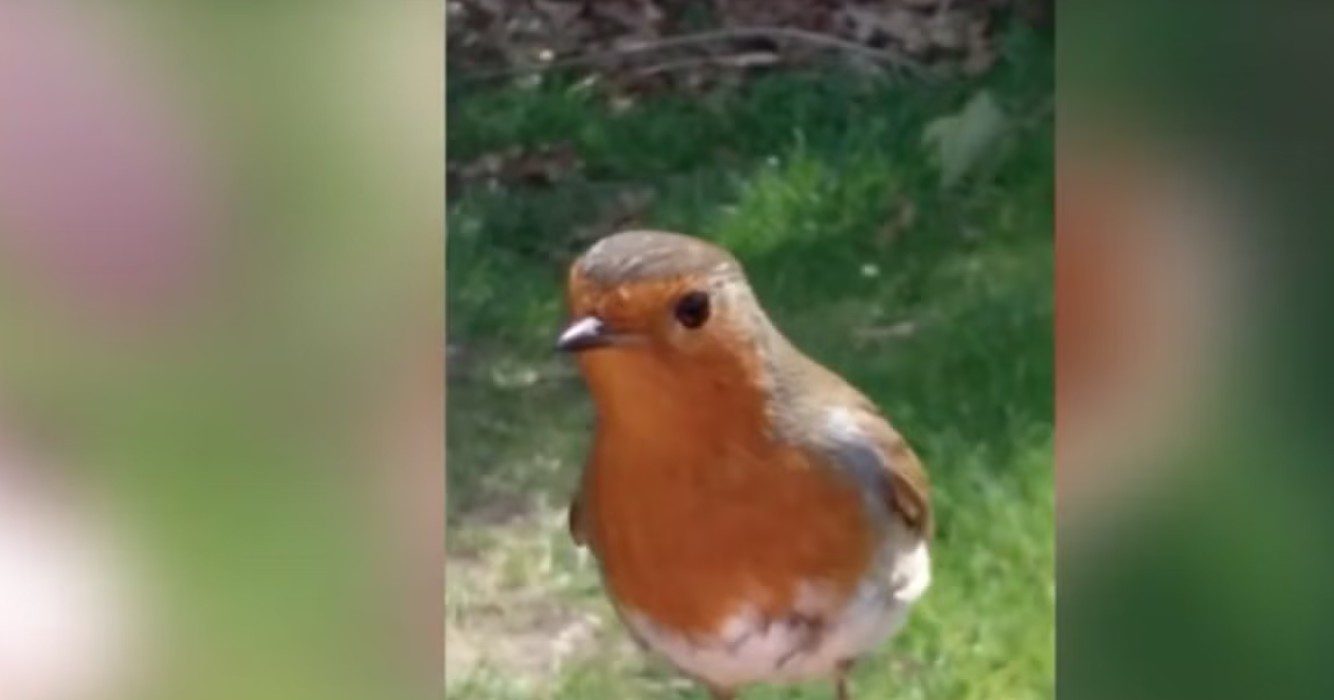 Moeder gaat naar graf overleden zoontje en vraagt om een teken