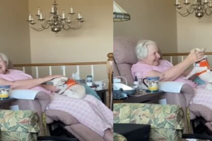 Niemand wilde oudere hond totdat honderdjarige vrouw vroeg om hem te adopteren