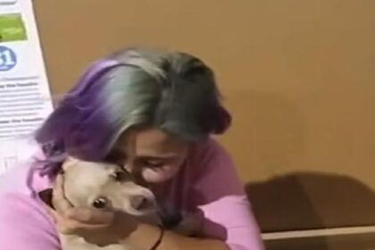 Hondje wordt geadopteerd maar mist zijn pleegmoeder zo erg dat hij van huis wegloopt