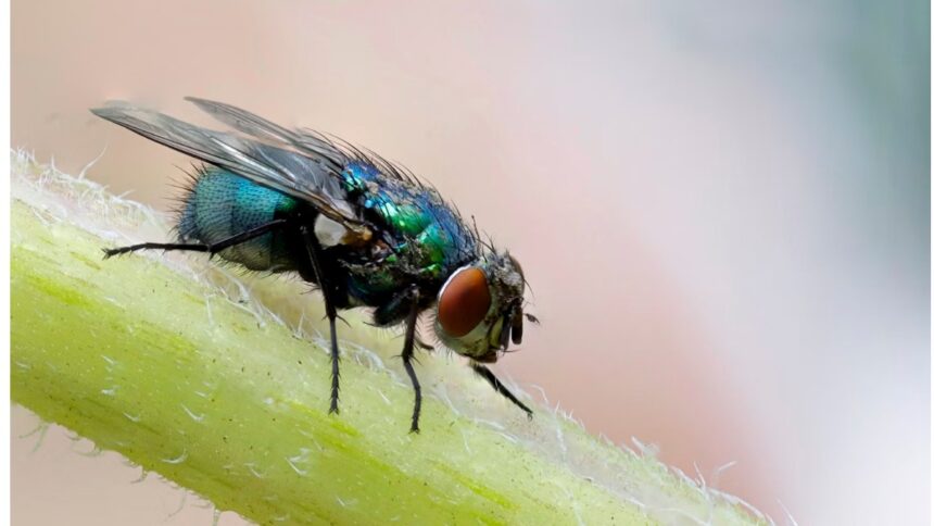 Unsplash - Philip Veater