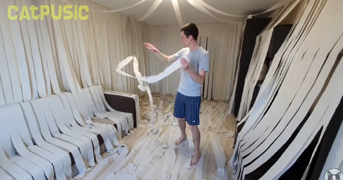 gezin verrast hun kat met een kamer vol met toiletpapier en dit is zijn reactie