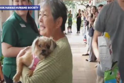 Allerlaatste hond in dierenasiel kan eindelijk glimlachen als hij een thuis krijgt