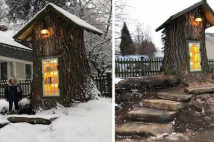 Vrouw verandert oude zieke boomstronk in magische minibibliotheek voor iedereen
