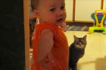 Elke ochtend hebben peuter en haar kat de leukste gesprekken