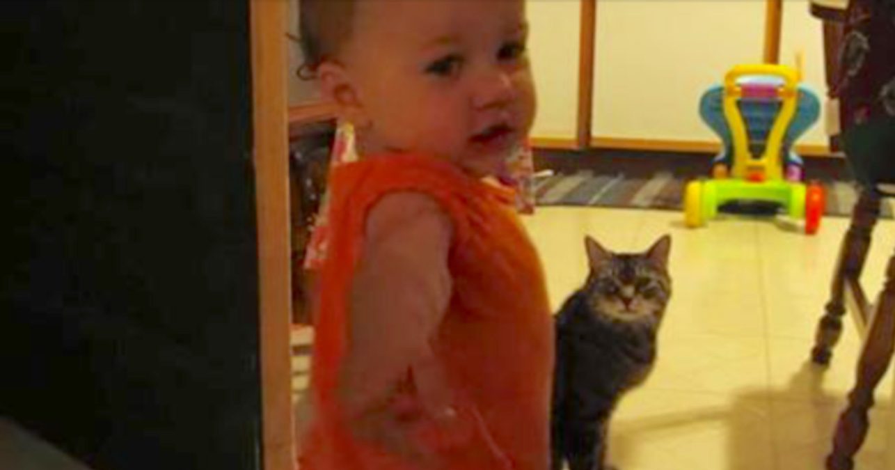 Elke ochtend hebben peuter en haar kat de leukste gesprekken