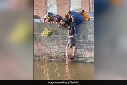 Studenten werken samen om angstige hond uit kanaal te redden