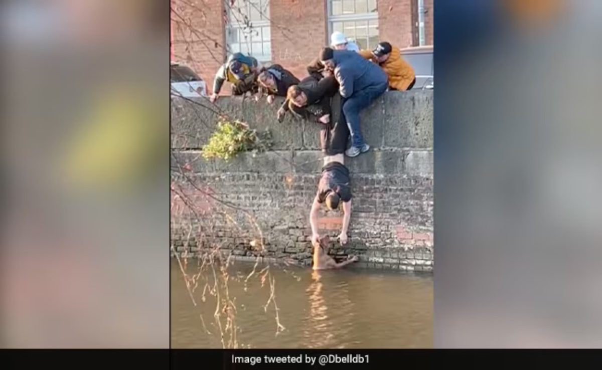 Studenten werken samen om angstige hond uit kanaal te redden