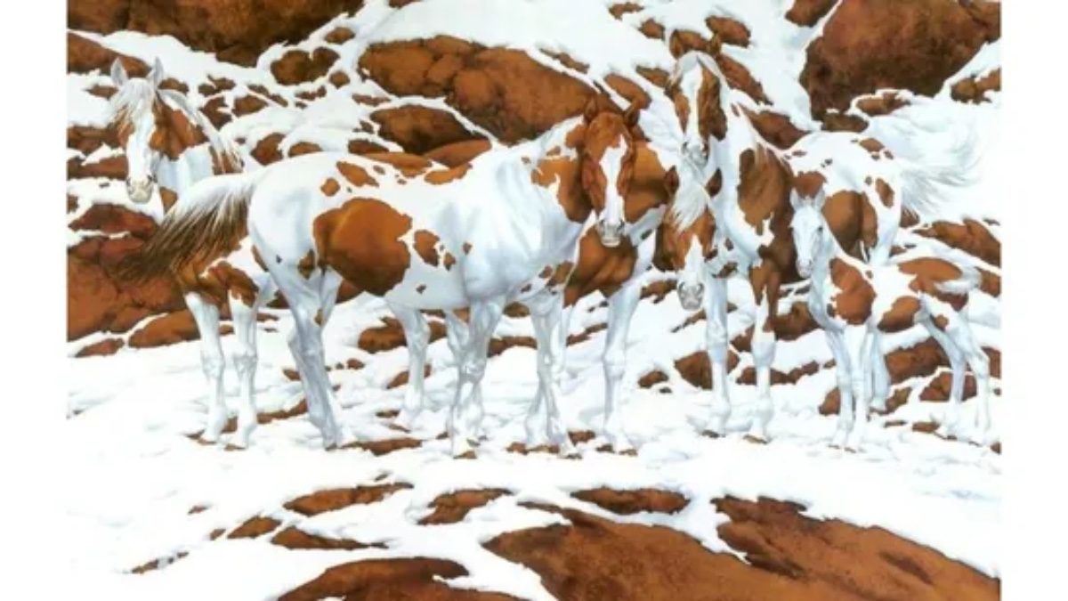 moeilijke uitdaging zie jij hoeveel paarden er op de afbeelding staan