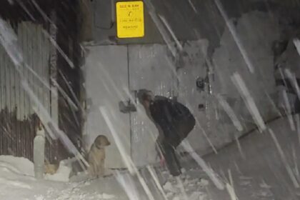 Agente trotseert hevige sneeuwstorm om vermiste hond te redden