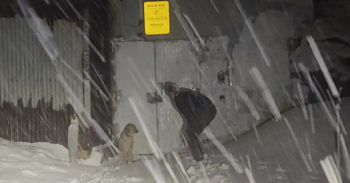 Agente trotseert hevige sneeuwstorm om vermiste hond te redden