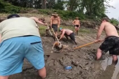 Vrijgezellenfeest laat alles vallen als ze een kop uit de modder zien steken