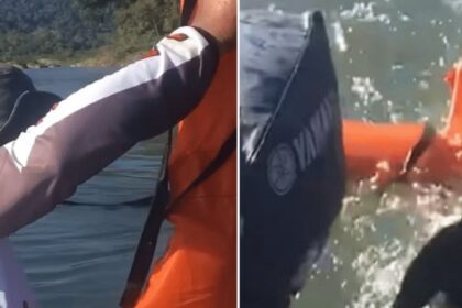 Vissers gooien reddingsvest om verdrinkende hond te redden maar dier blijkt helemaal geen hond te zijn