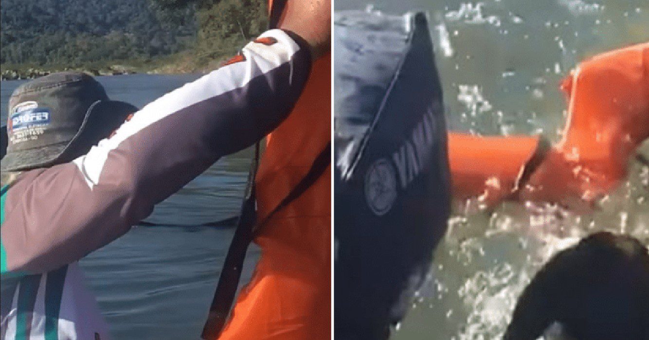 Vissers gooien reddingsvest om verdrinkende hond te redden maar dier blijkt helemaal geen hond te zijn