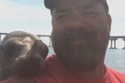 Man neemt selfie als ongenode gast uit het water