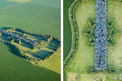 Weduwnaar vervult droom van zijn overleden vrouw om kunst te maken van hun akkers