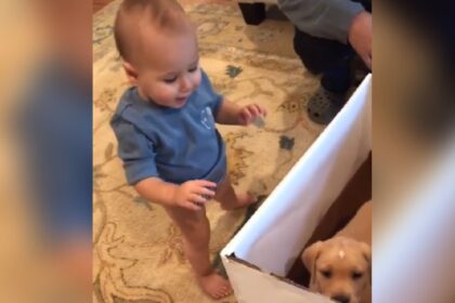 baby opent verjaardagscadeau en treft puppy aan zijn reactie doet harten smelten